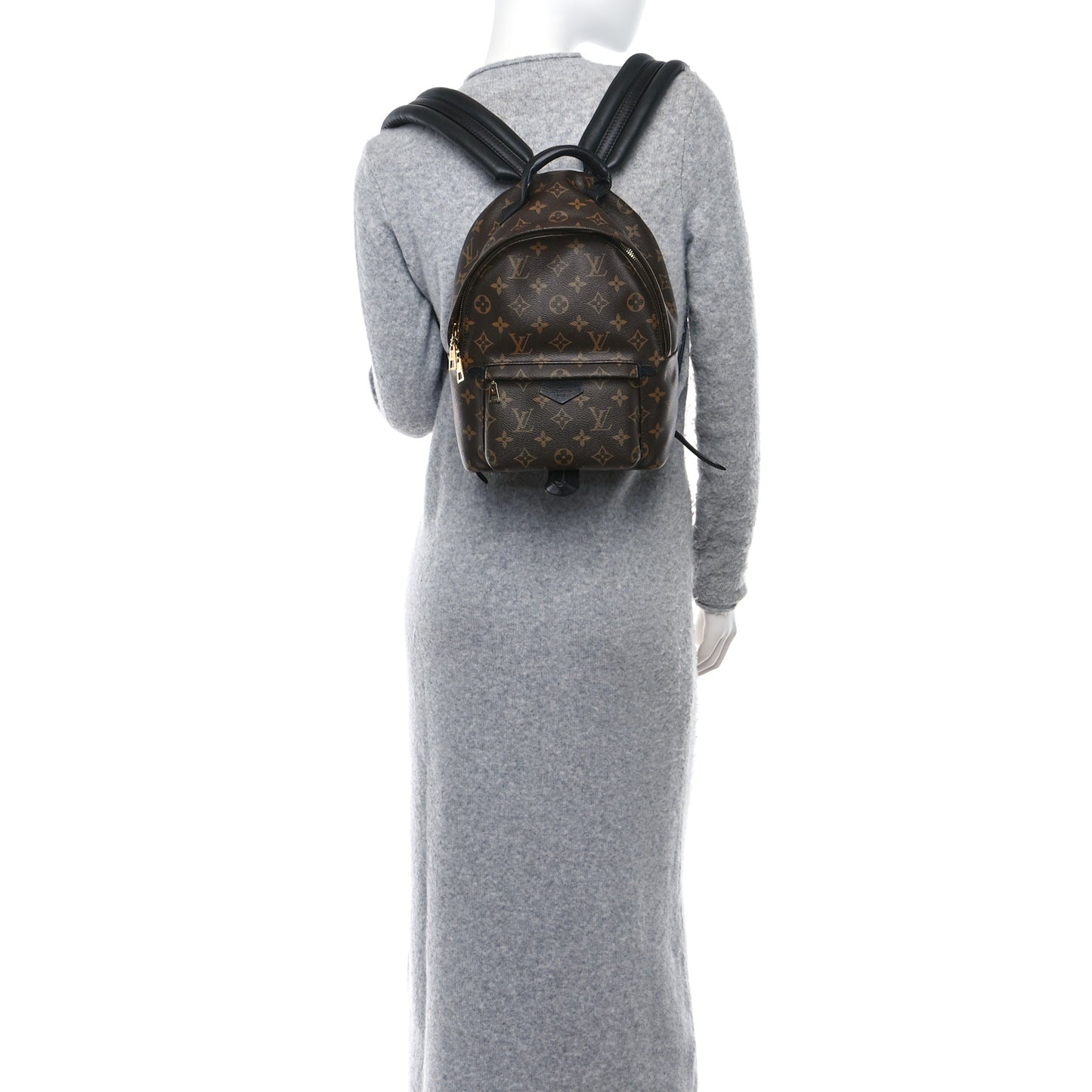 Monogram Palm Springs Backpack PM