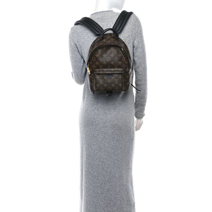 Louis Vuitton Monogram Palm Springs Backpack PM 2 of 11