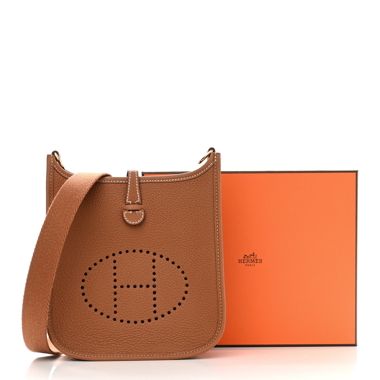 Taurillon Maurice Evelyne TPM Gold