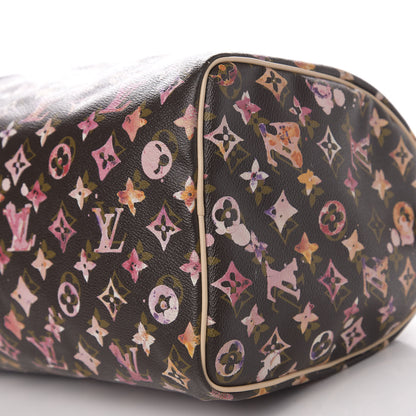 Louis Vuitton Watercolor Aquarelle Speedy 35 Brown 11 of 12