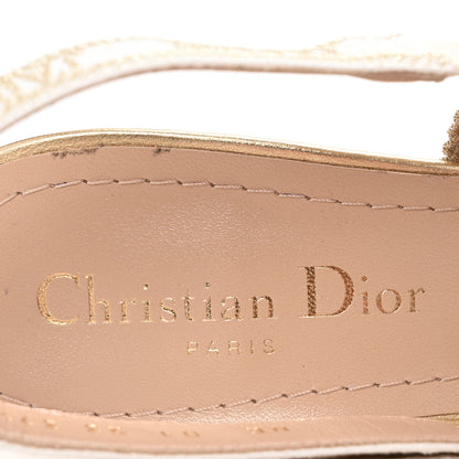 Christian Dior Transparent Metallic Embroidered Mesh Macrame Constantine Embroidered J'Adior Slingback 65mm Pumps 37.5 Pale Gold 8 of 9