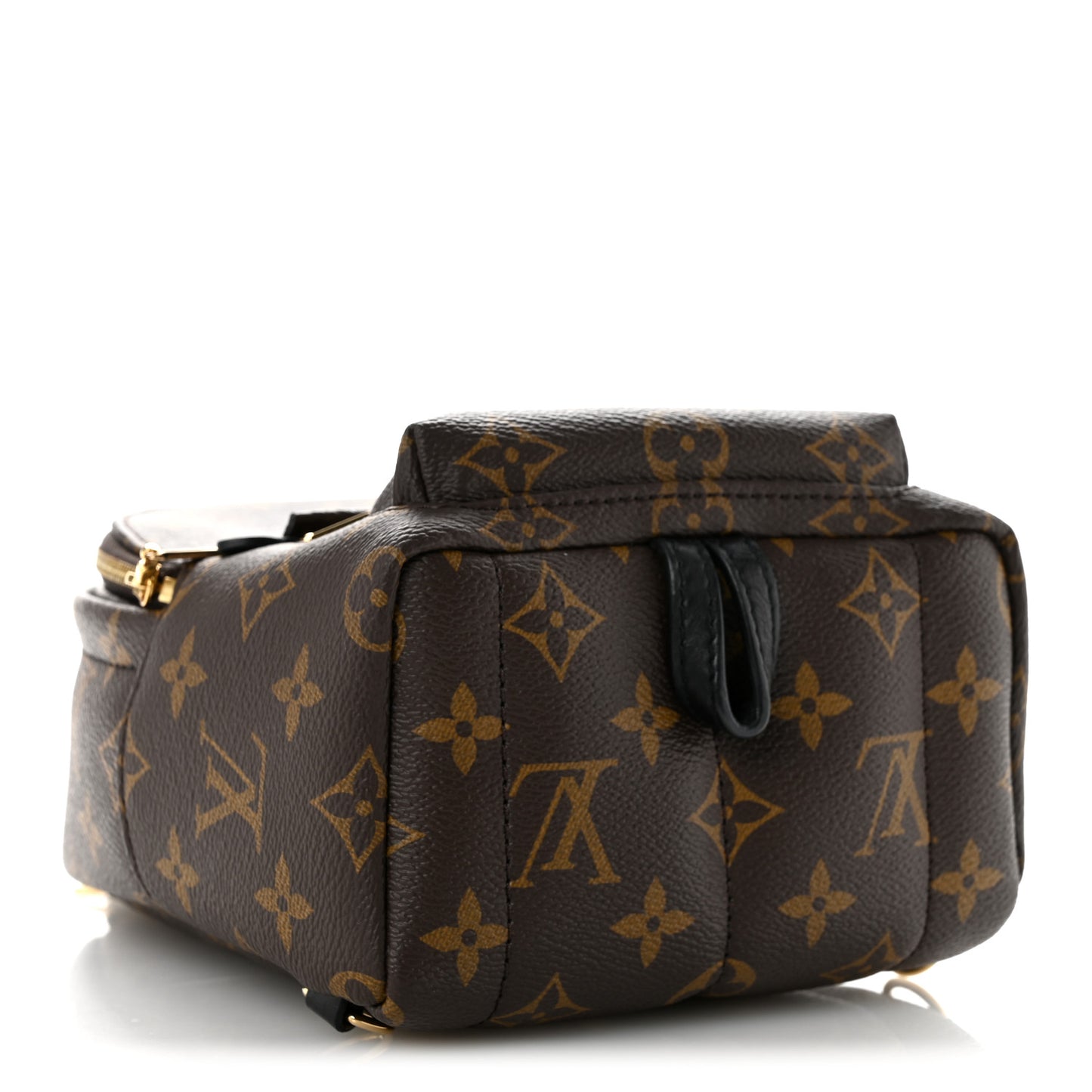 Monogram Palm Springs Backpack Mini