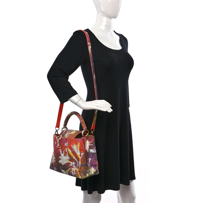 Louis Vuitton X SAM FELLS Canvas Embroidered ArtyCapucines PM Multicolor 2 of 9