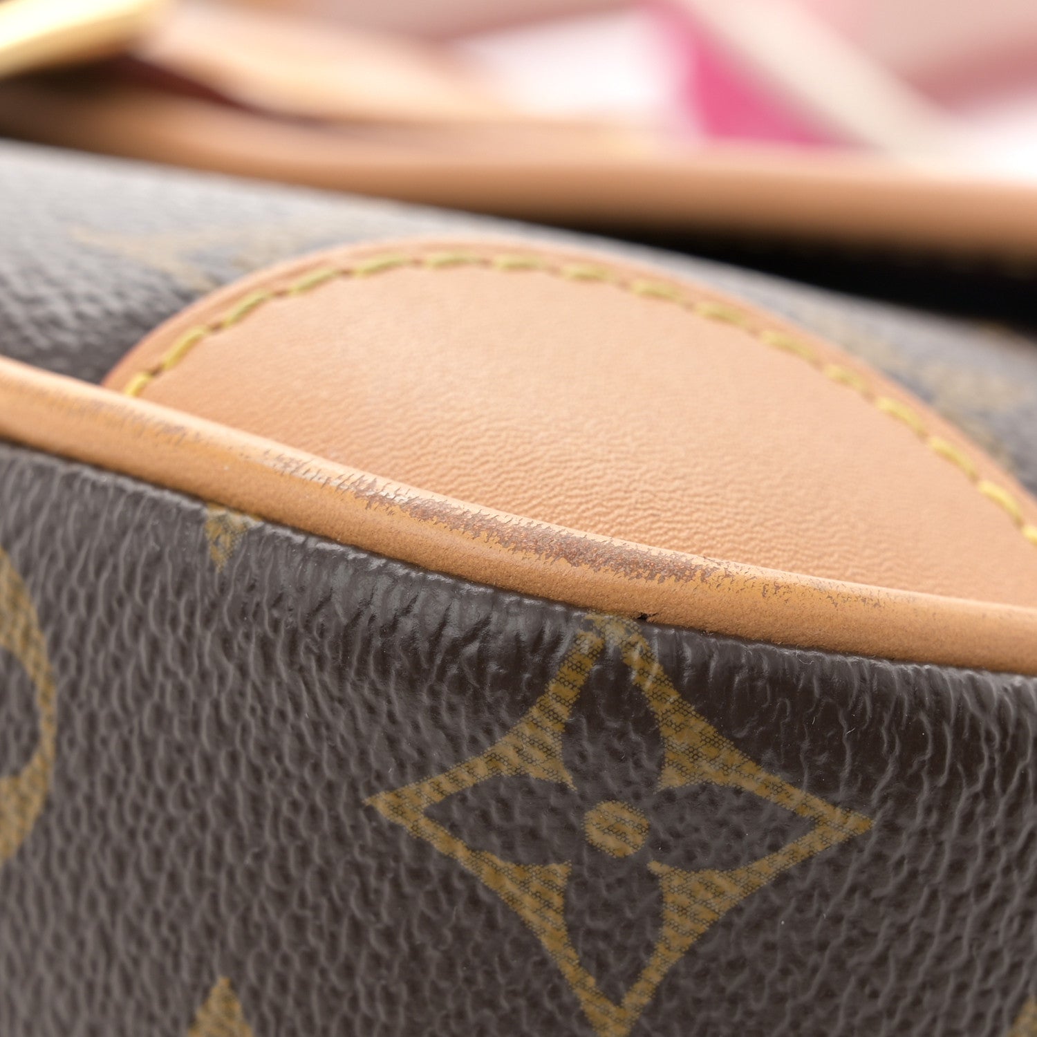 Louis Vuitton Monogram Diane Fuchsia 10 of 12