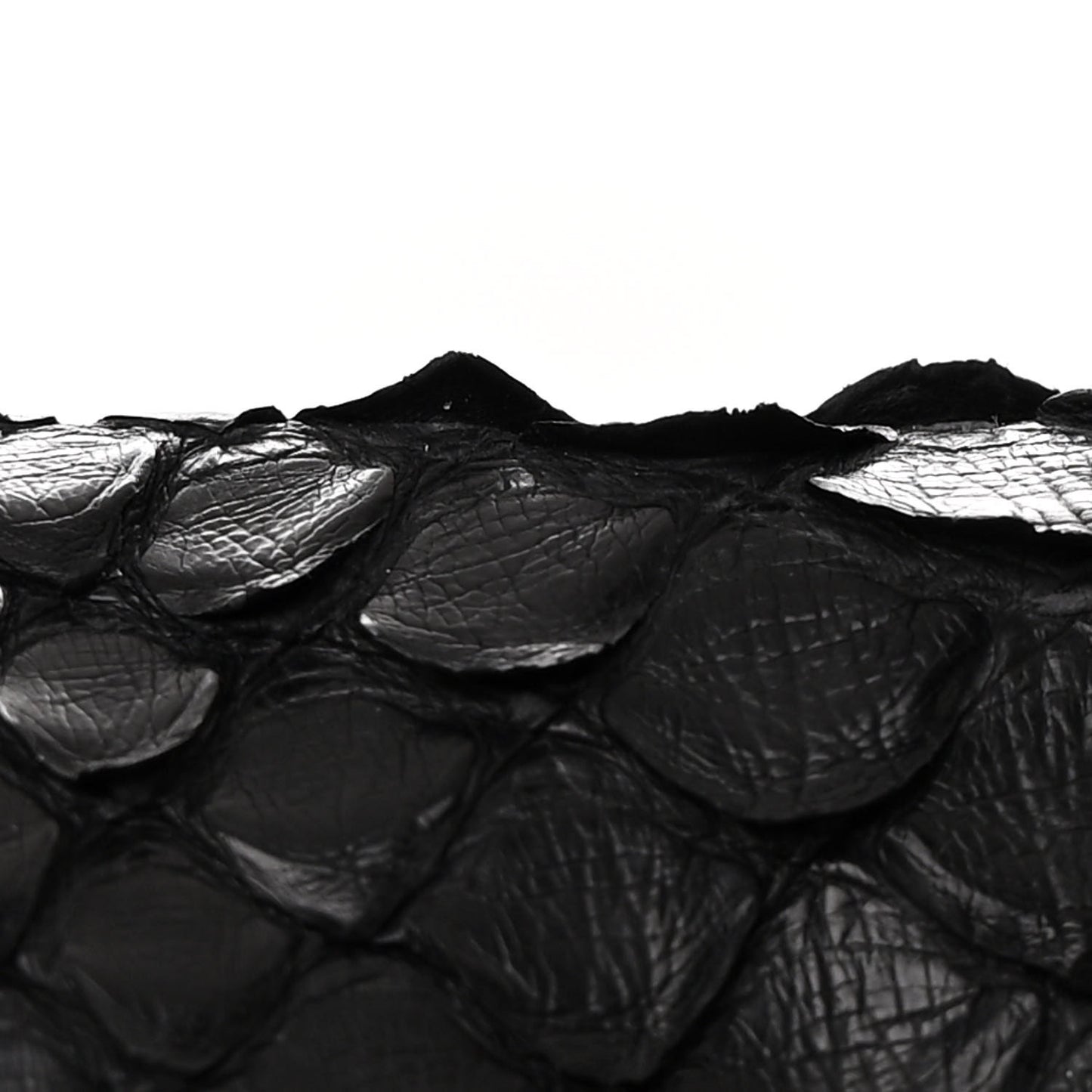 Snakeskin Large Paraty Black