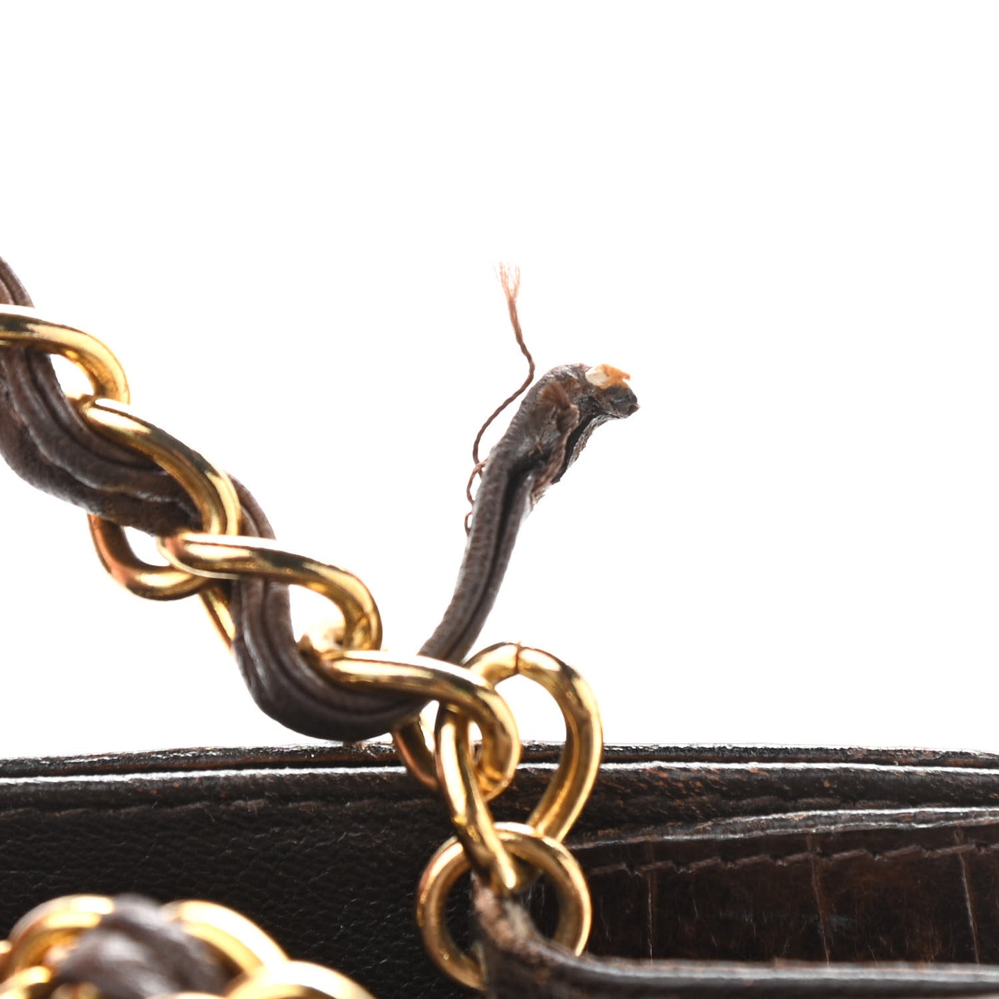 Alligator Small Single Flap Dark Brown