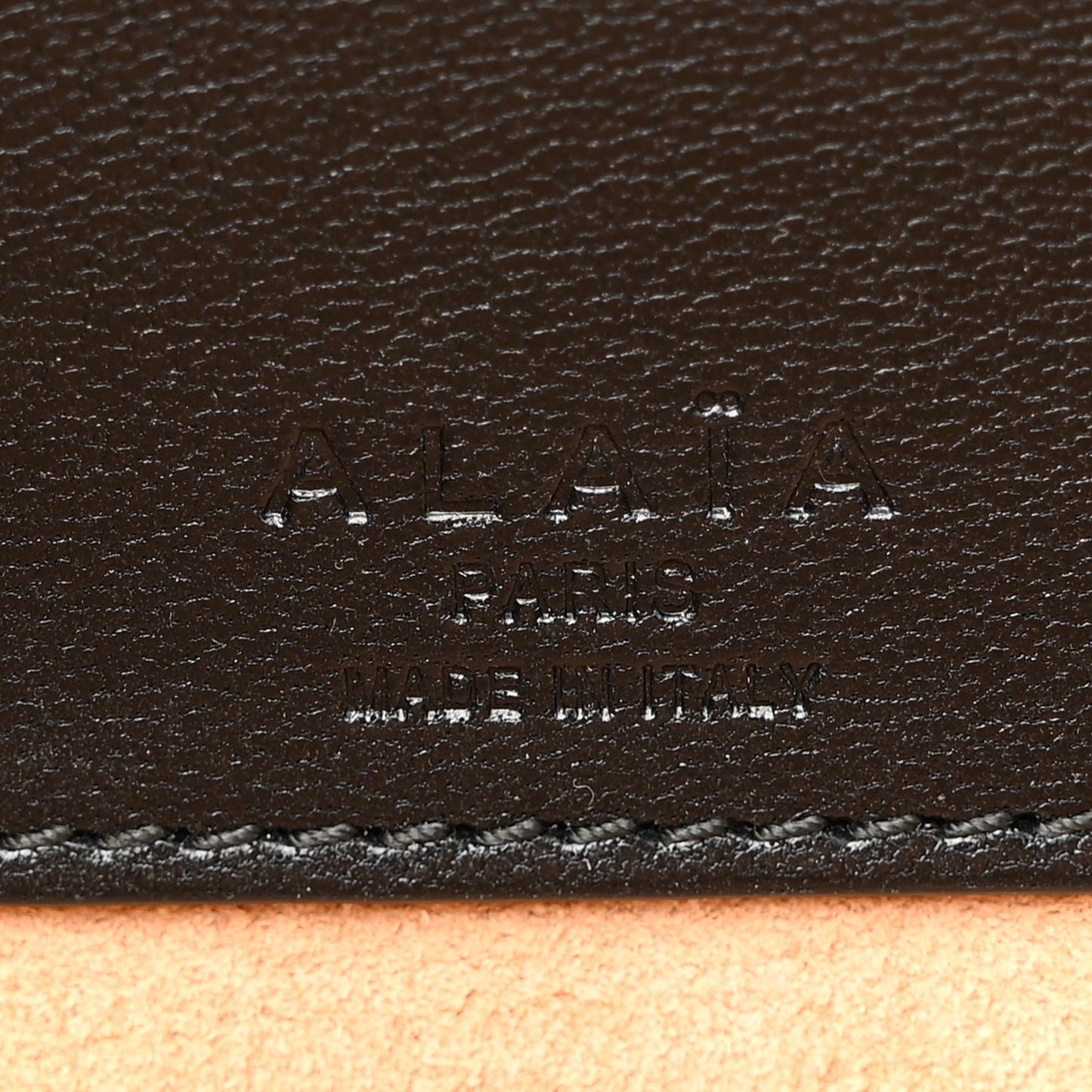 Goatskin Medium Le Teckel Bag Black
