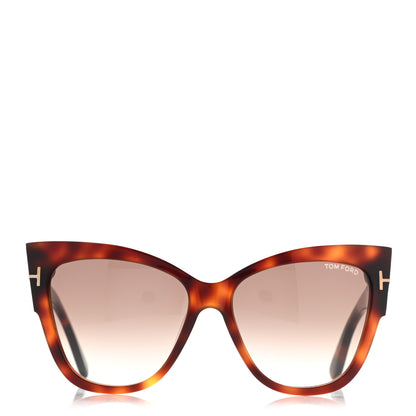 Tom Ford Acetate Anoushka Cat Eye Sunglasses TF371 Tortoise Shell 2 of 8