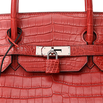 Hermes Matte Porosus Crocodile Birkin 40 Rouge H 8 of 10