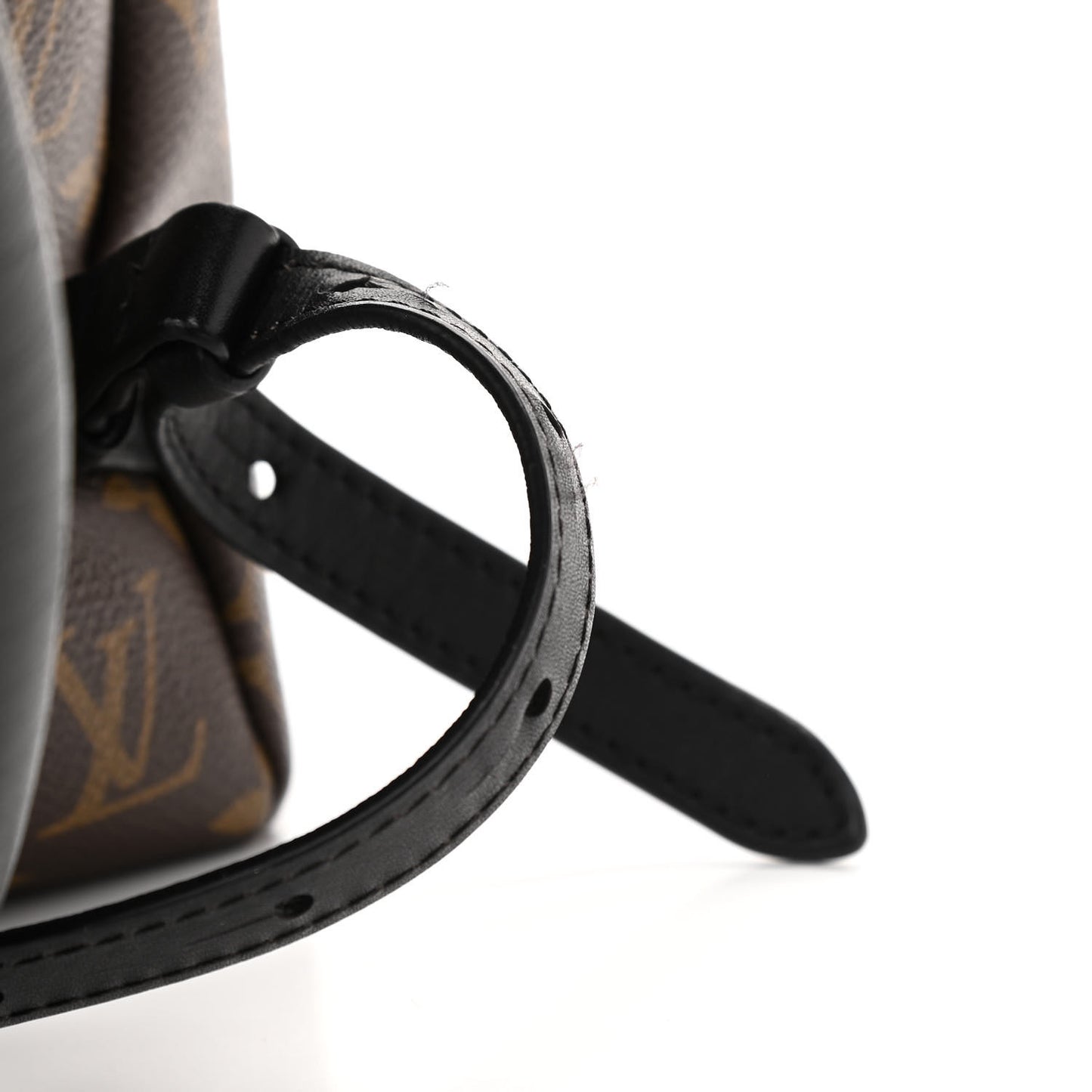 Monogram Palm Springs Backpack MM