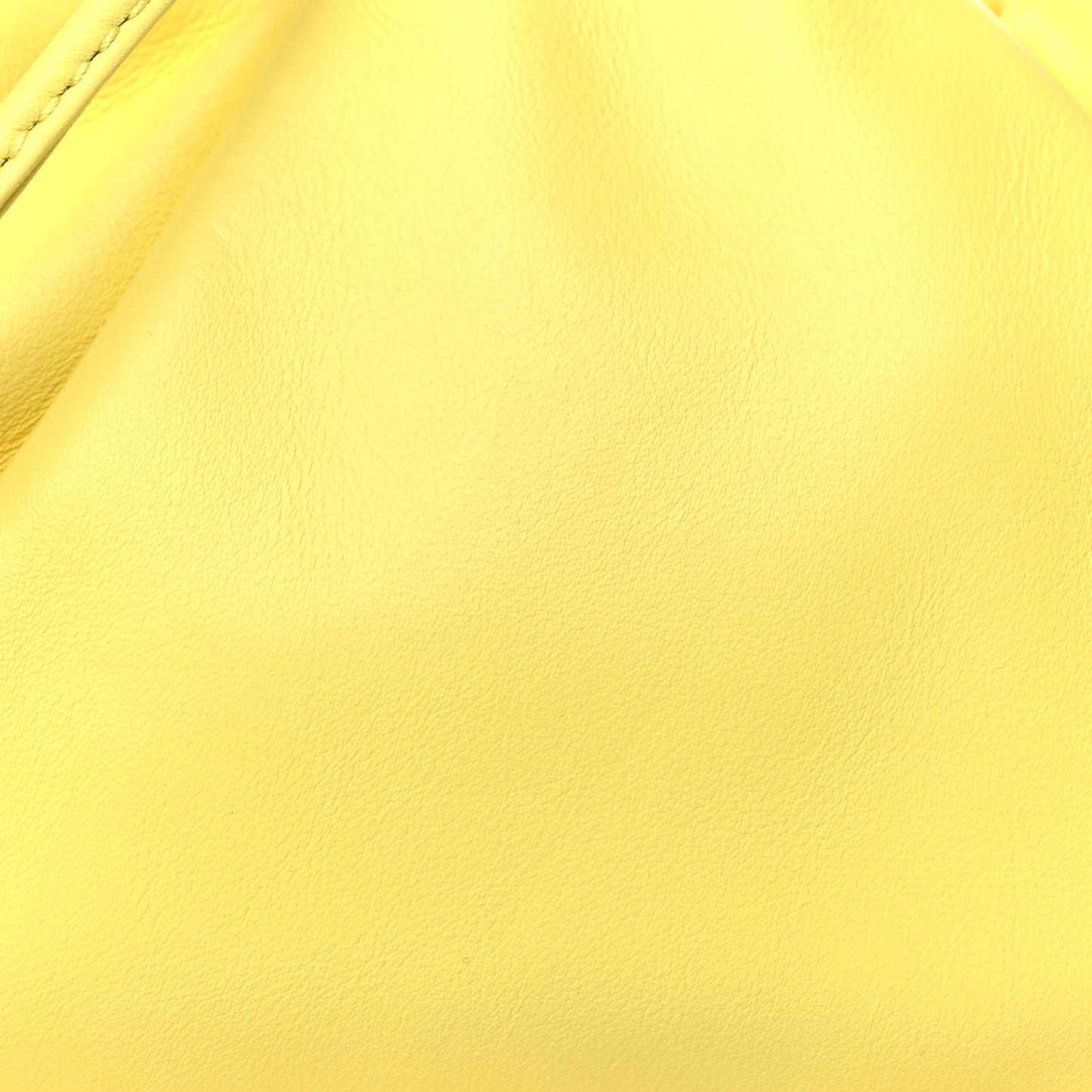 Butter Calfskin The Mini Pouch Sherbert