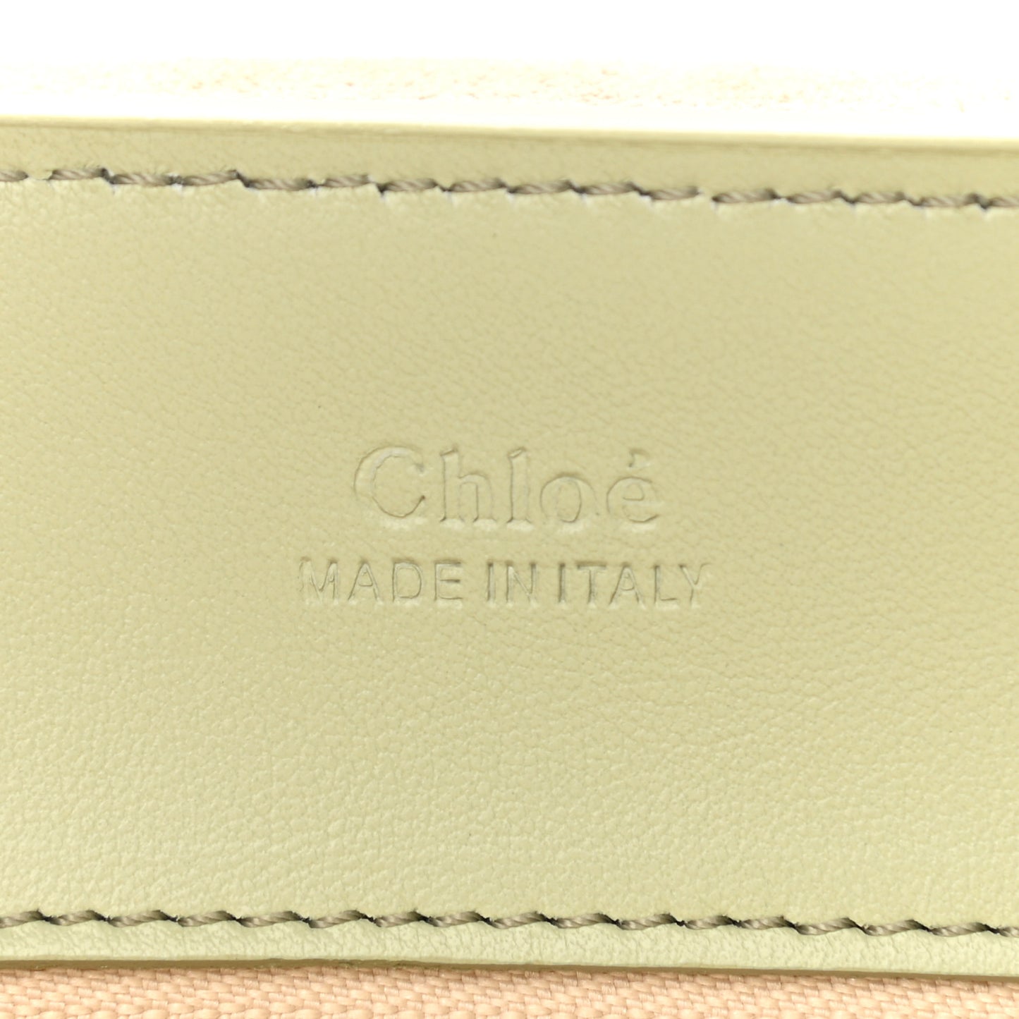 Calfskin Mini Tess Day Bag Light Eucalyptus