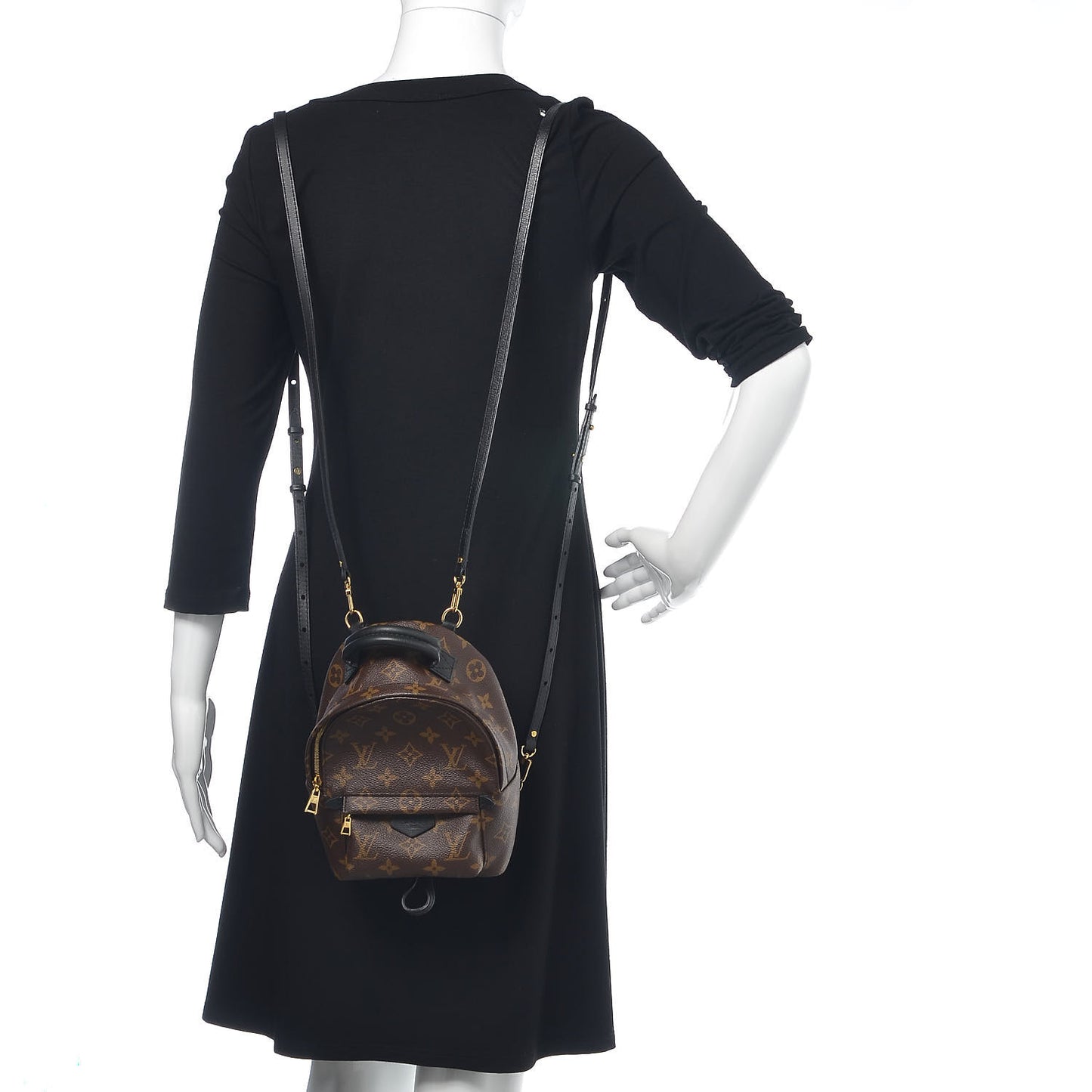 Monogram Palm Springs Backpack Mini