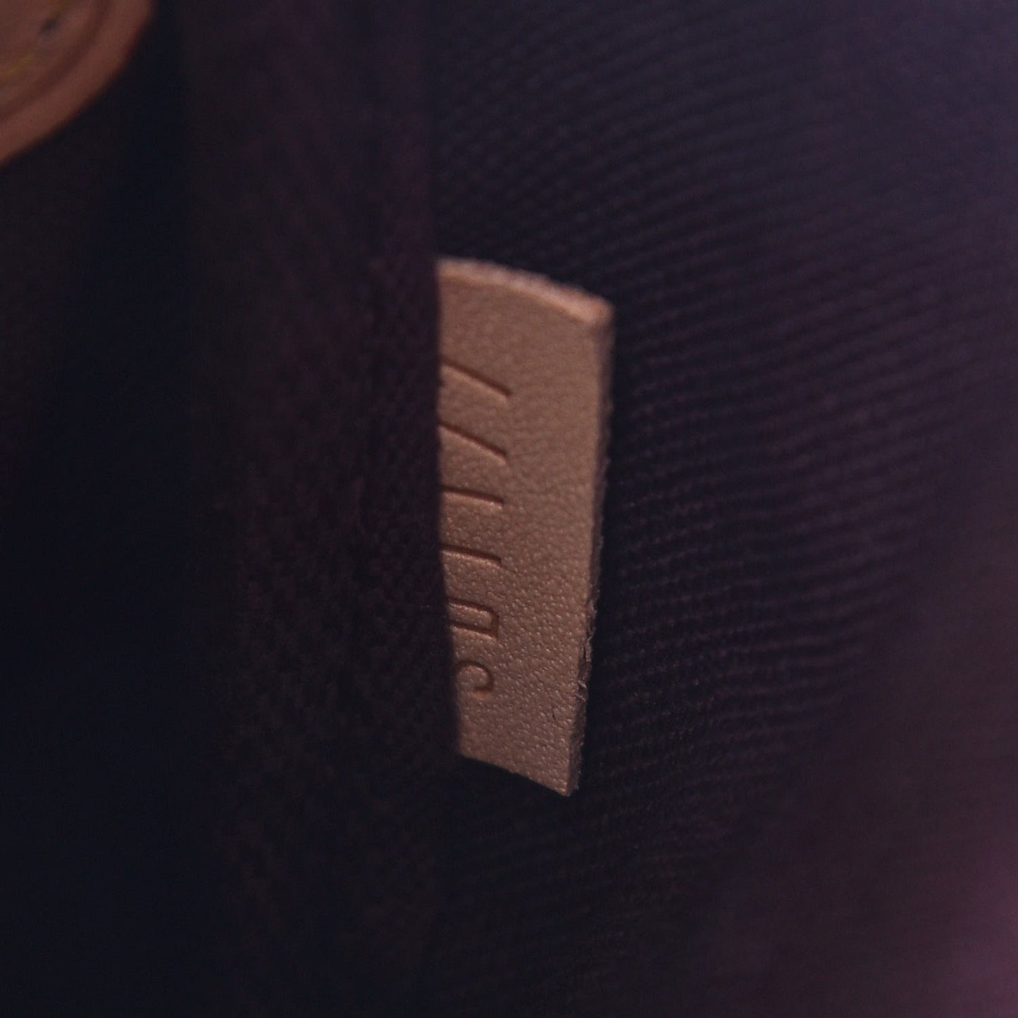 Monogram Favorite PM