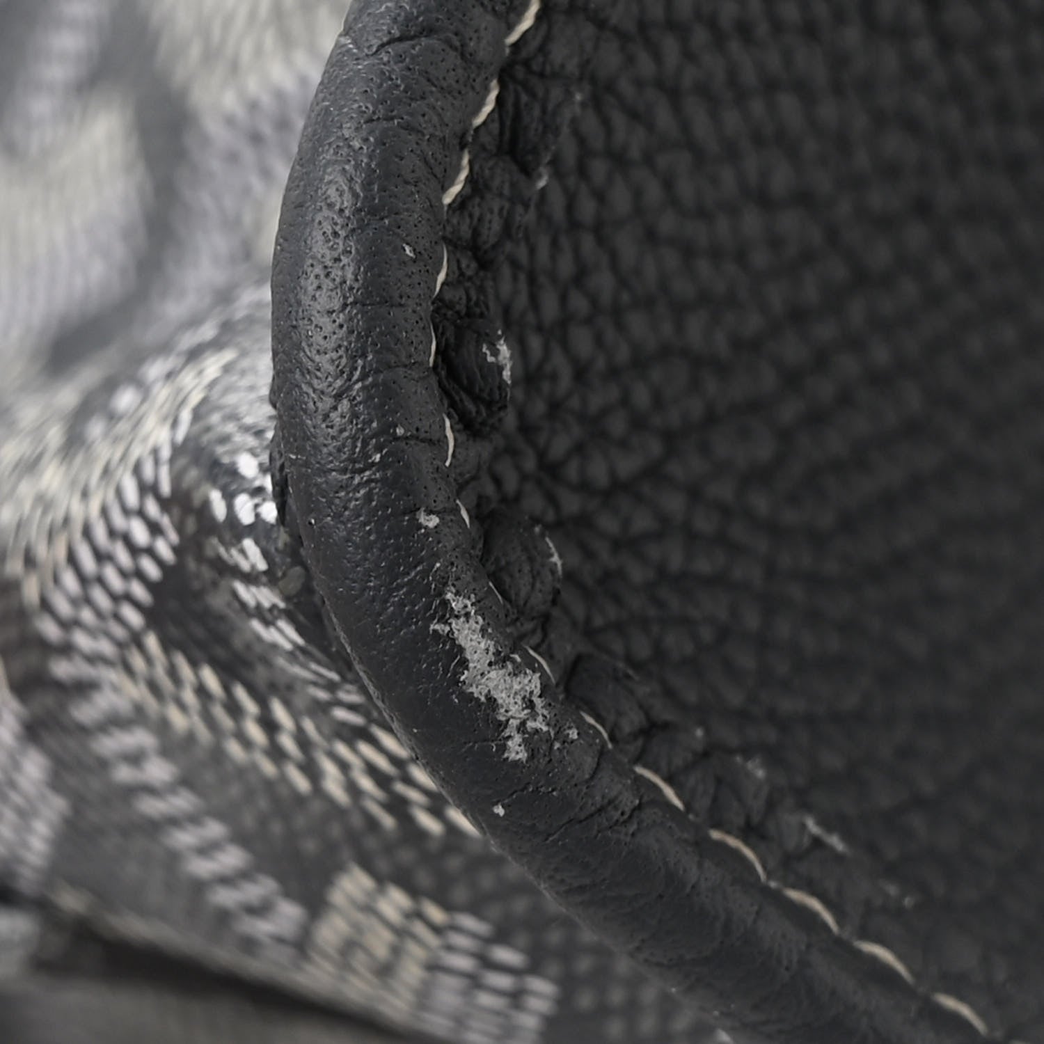Goyard Goyardine Sac Hardy Pet Carrier PM Grey 13 of 14