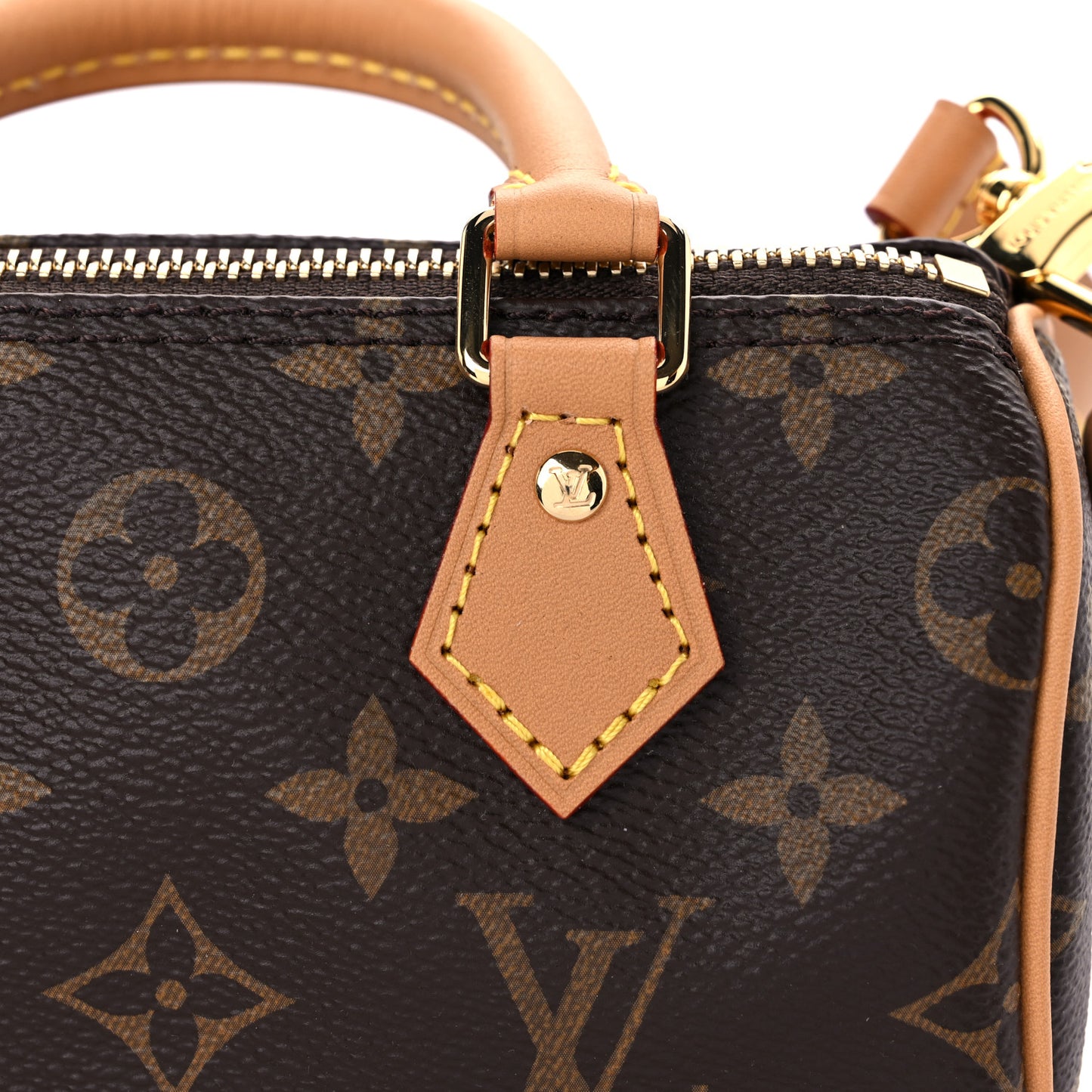 Monogram Nano Speedy Bandouliere