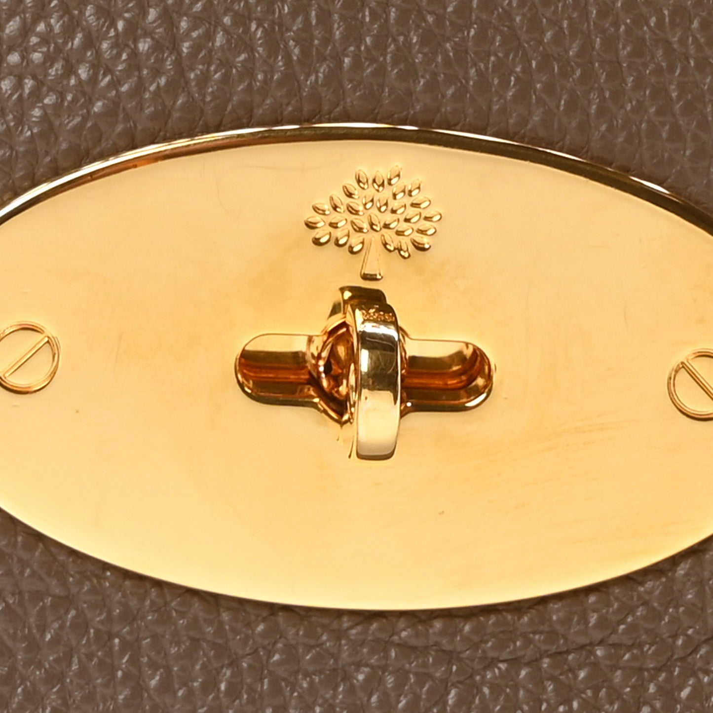 Small Classic Grain Calfskin Medium Lily Flap Clay