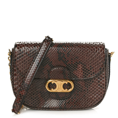 Celine Snakeskin Medium Chain Maillon Triomphe Brown 1 of 9