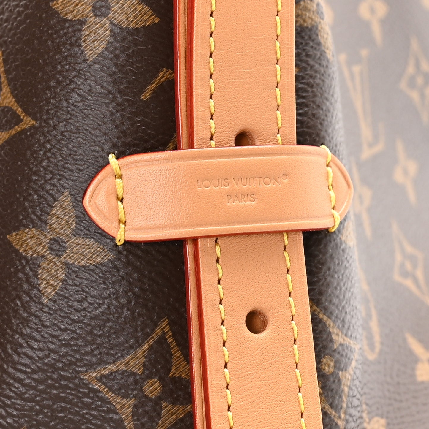 Monogram Carryall MM