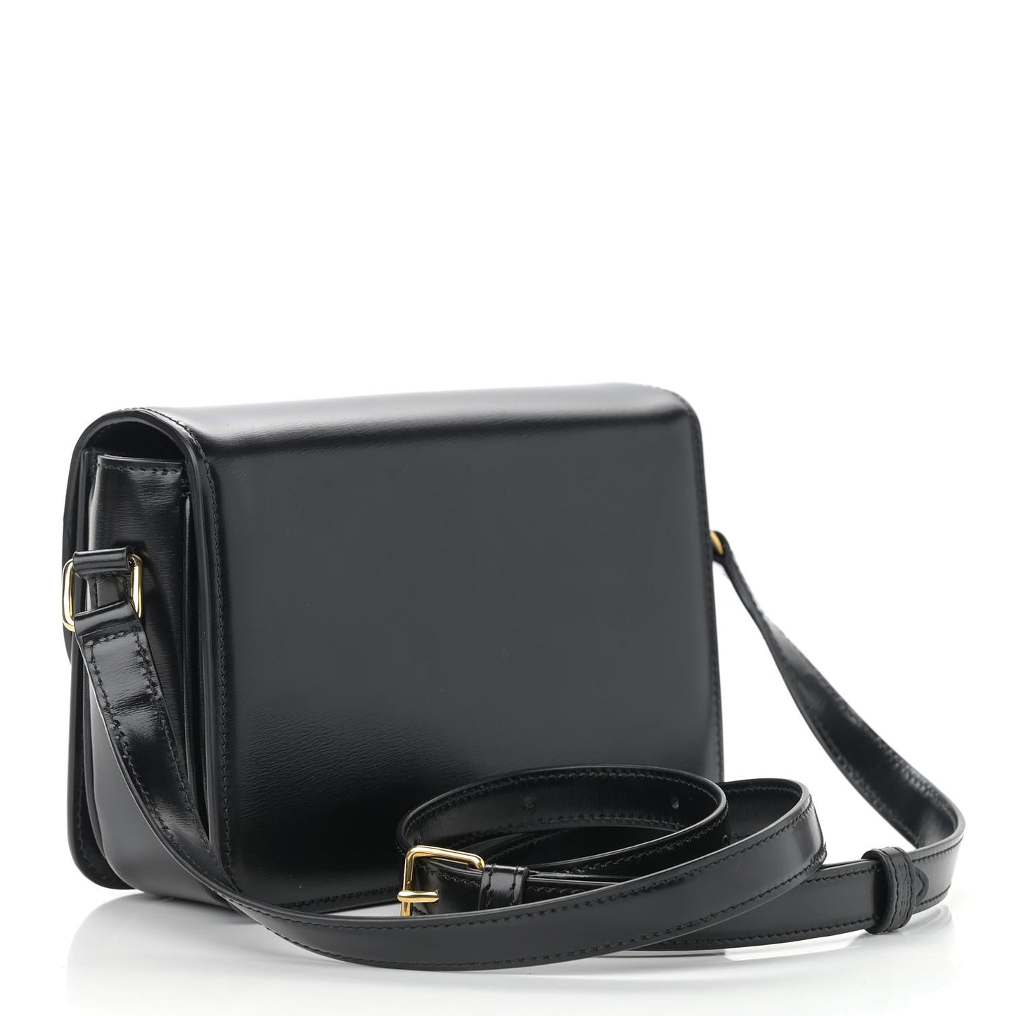 Shiny Calfskin Nano Triomphe Black