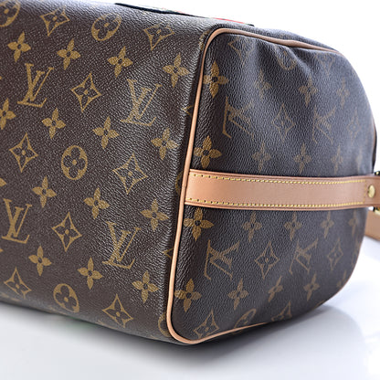 Louis Vuitton Monogram Patches Speedy Bandouliere 30 11 of 11