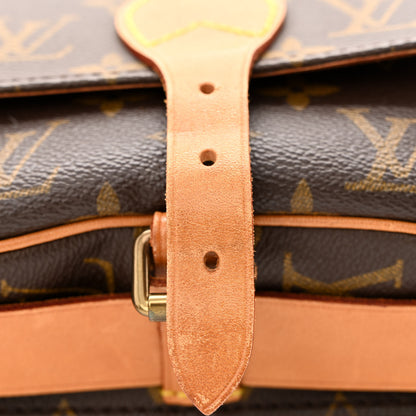 Louis Vuitton Monogram Cartouchiere 17 13 of 13