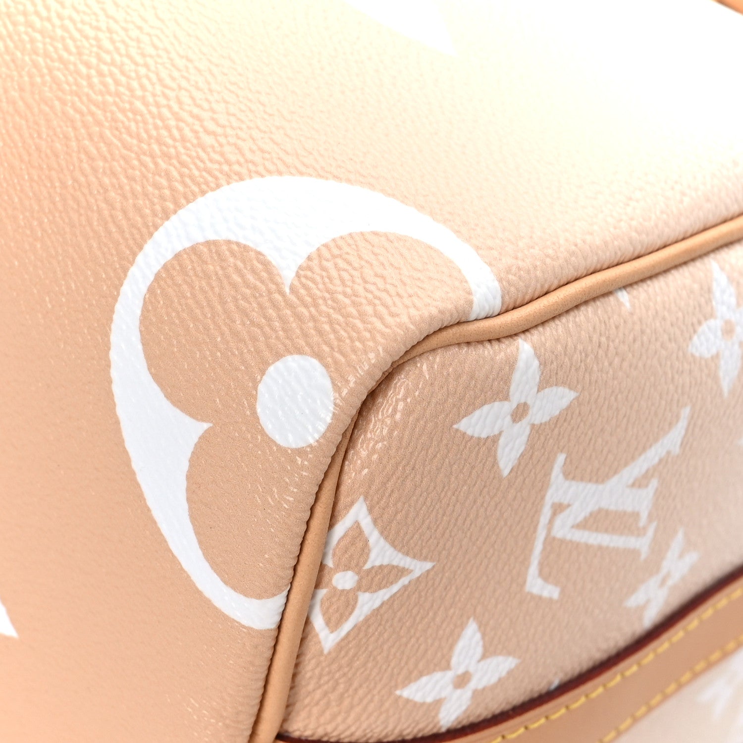 Louis Vuitton Monogram Giant By The Pool Speedy Bandouliere 25 Brume 8 of 10