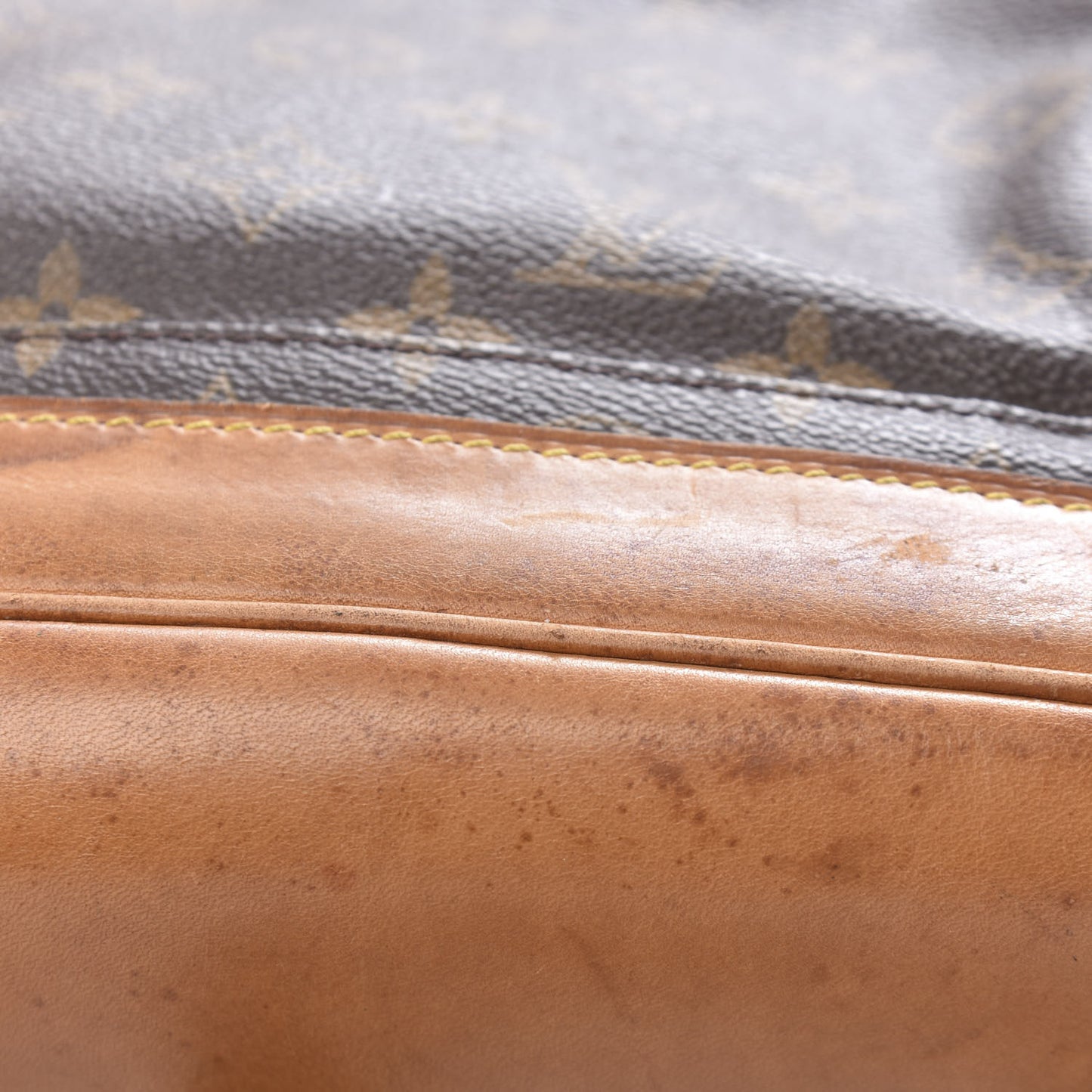 Monogram Montsouris GM Backpack