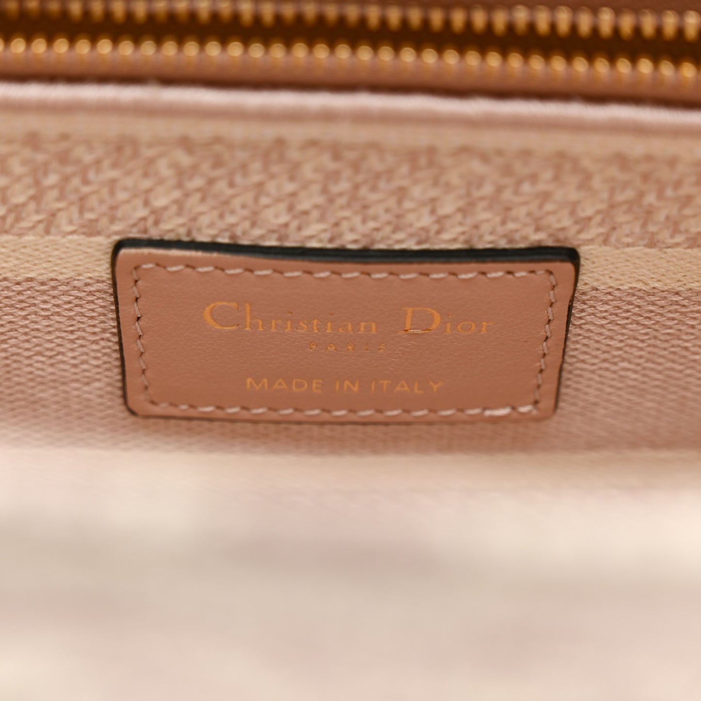 Canvas Toile De Jouy Reverse Embroidered Medium Lady D-Lite Rose