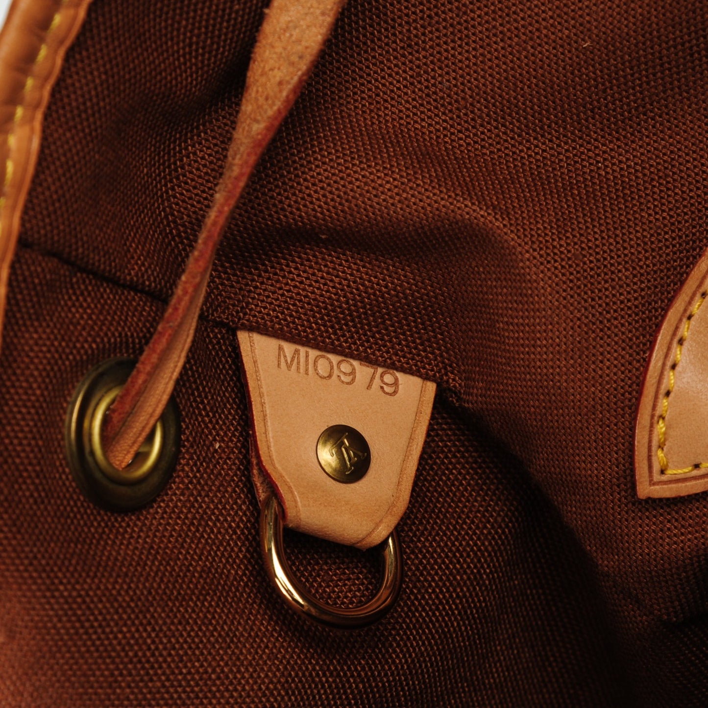 Monogram Montsouris GM Backpack