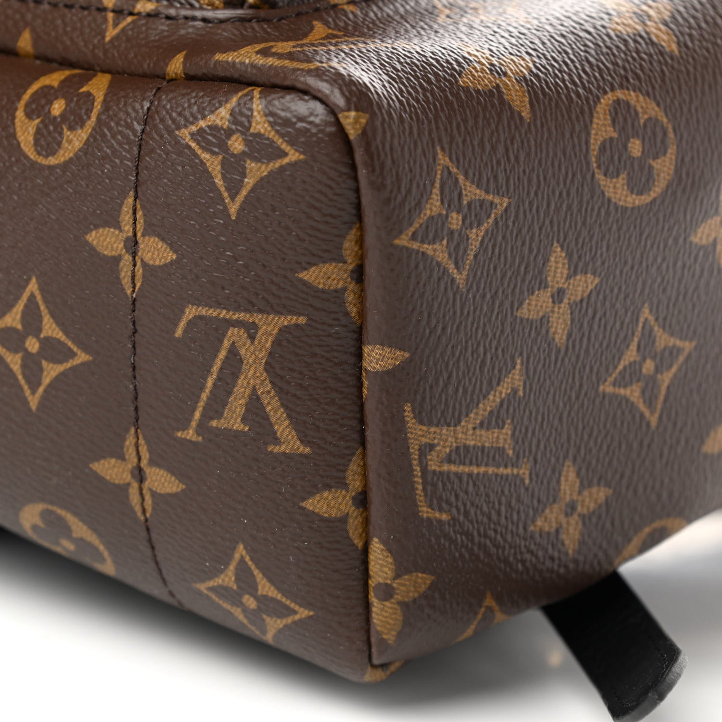 Monogram Palm Springs Backpack MM