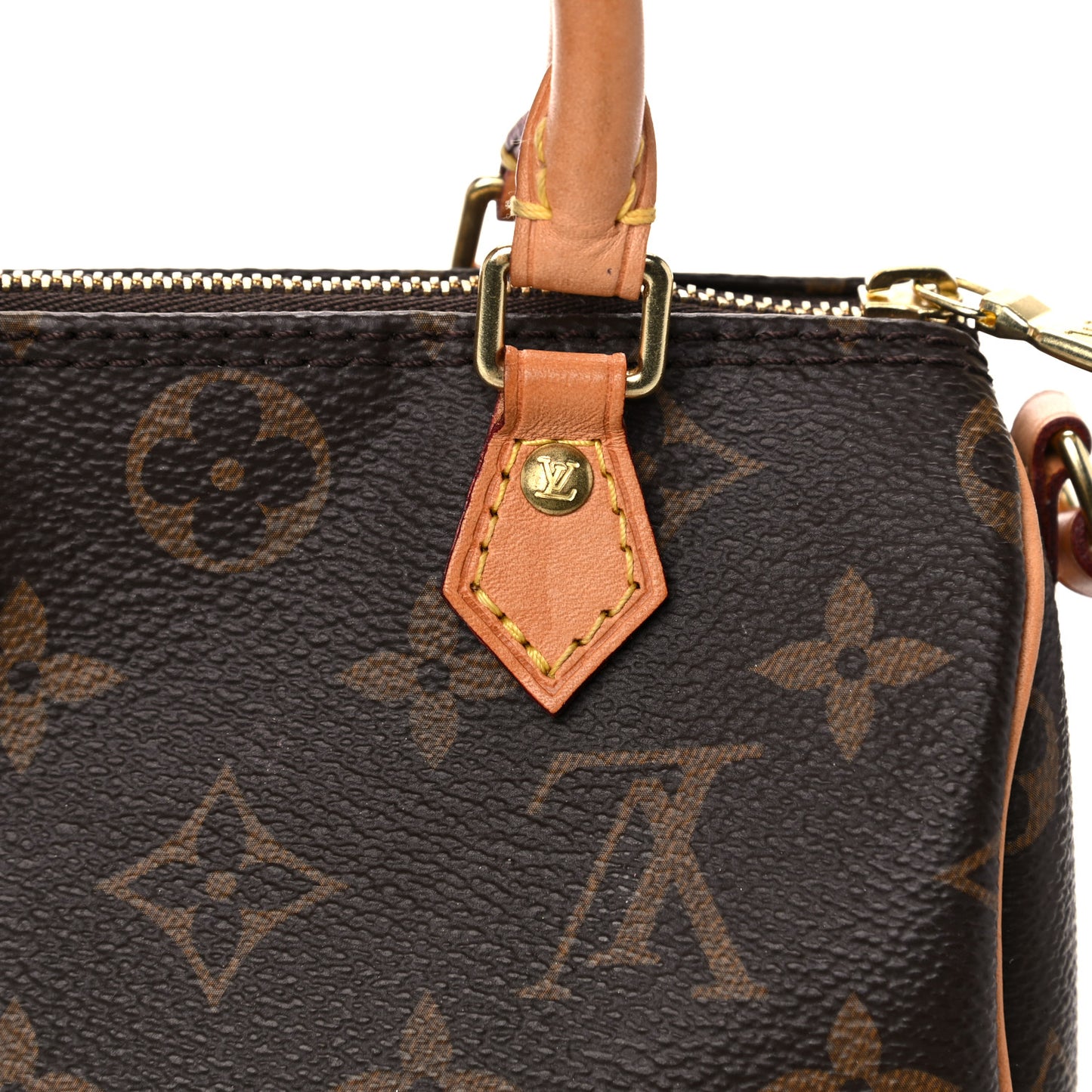 Monogram Nano Speedy