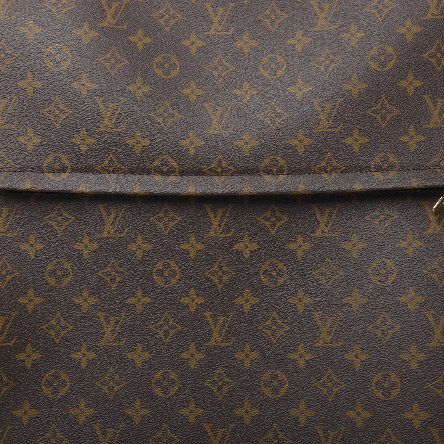 Louis Vuitton Monogram Pegase 70 11 of 12