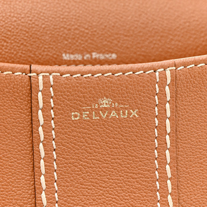 Delvaux Grained Rodeo Calfskin Surpique Mini Brillant Satchel Vegetal Ivory 7 of 11