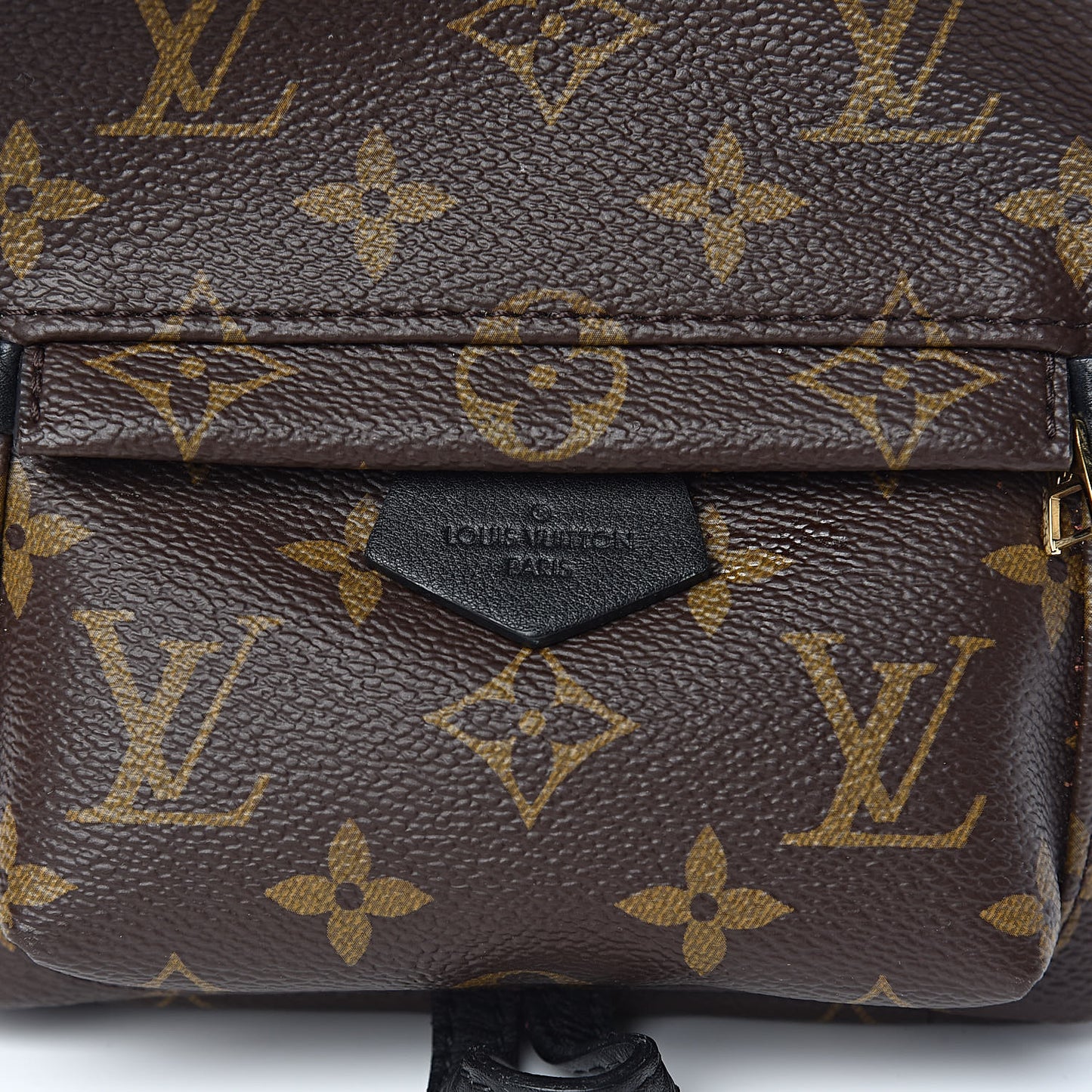 Monogram Palm Springs Backpack Mini