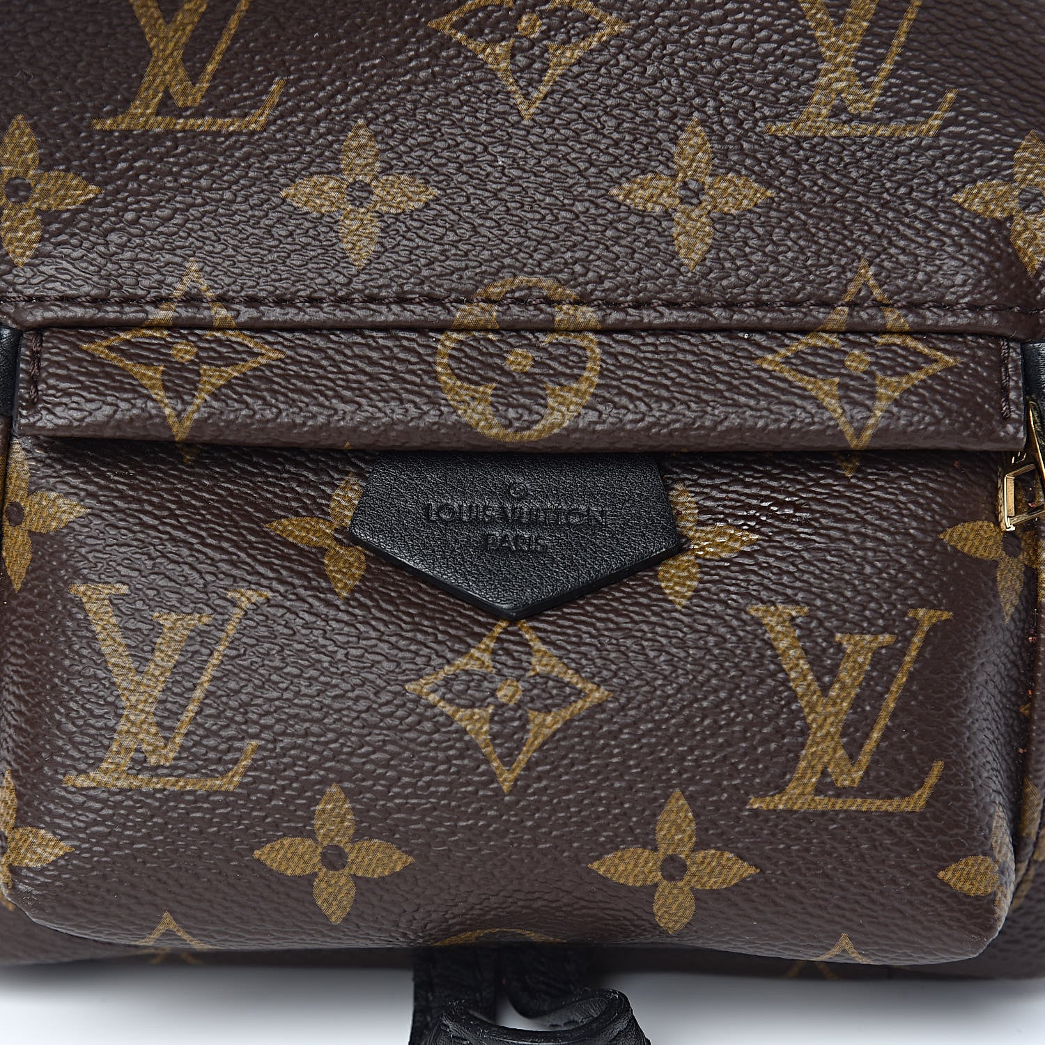 Louis Vuitton Monogram Palm Springs Backpack Mini 13 of 13
