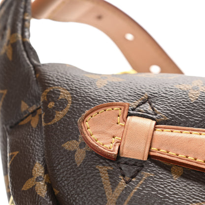 Louis Vuitton Monogram Bumbag 10 of 14