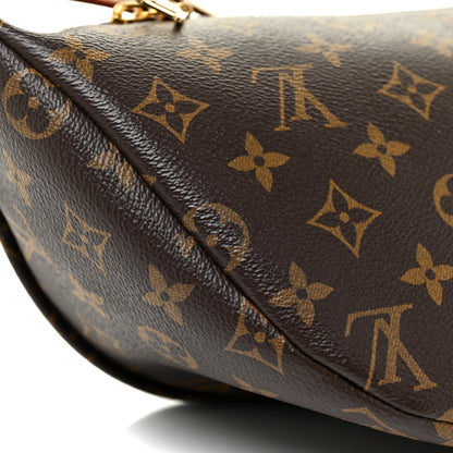 Louis Vuitton Monogram Bumbag 8 of 13