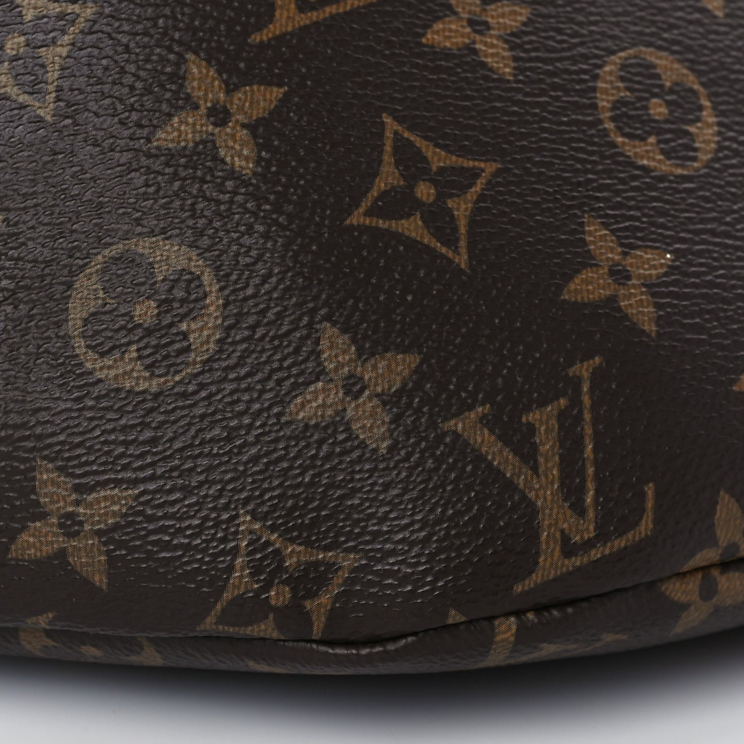 Monogram Bumbag
