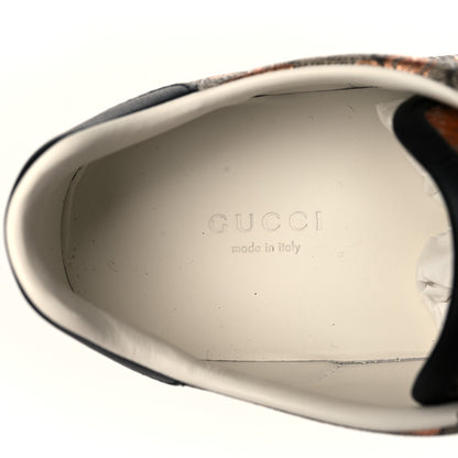 Gucci GG Supreme Monogram Berry Web Womens Ace Sneakers 39.5 Beige Light Copper Black 7 of 9