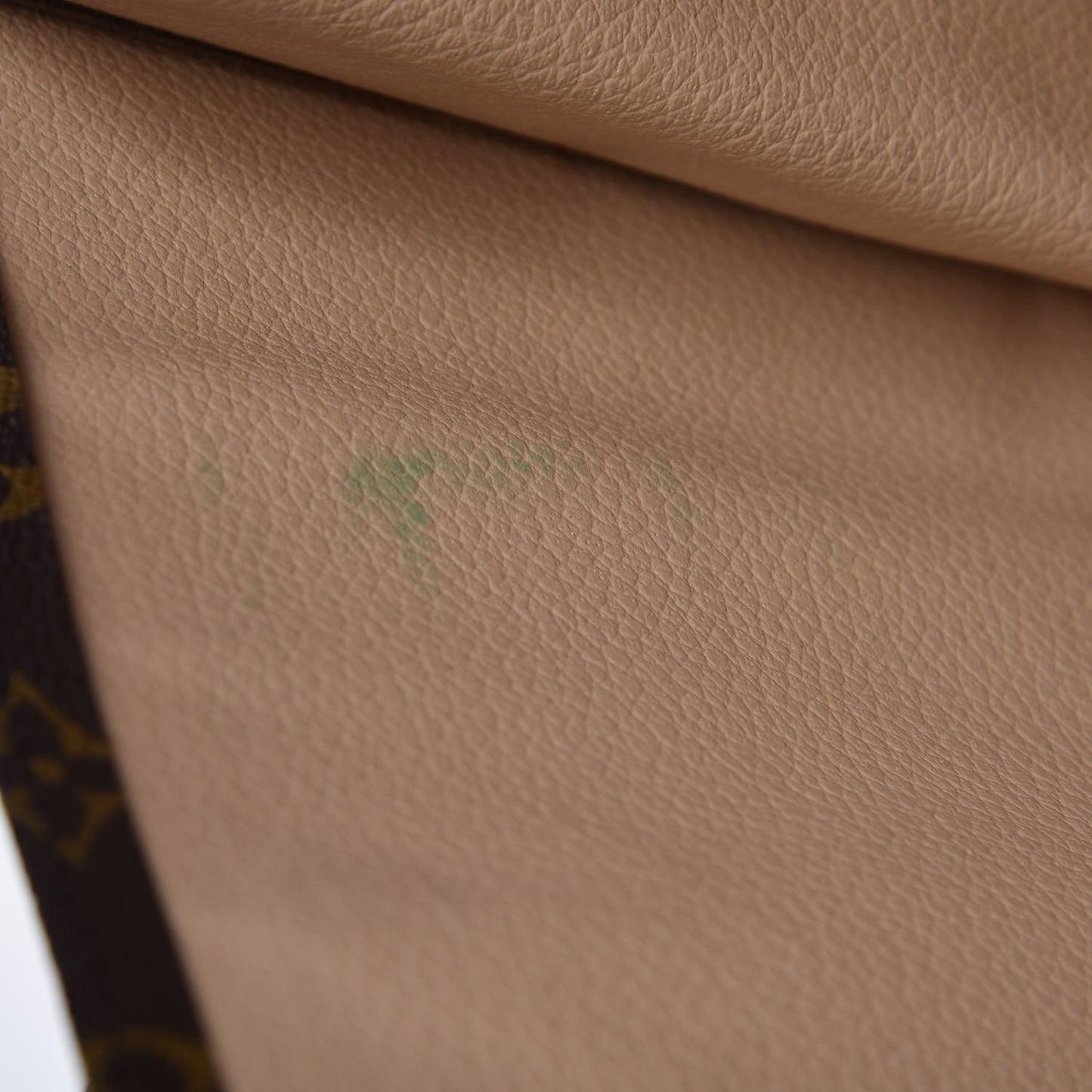 Monogram Sac Plat