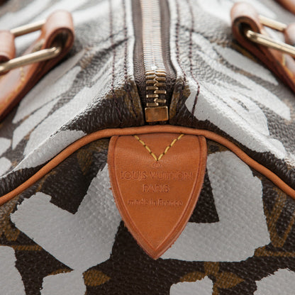 Louis Vuitton Monogram Graffiti Speedy 30 Silver 7 of 11