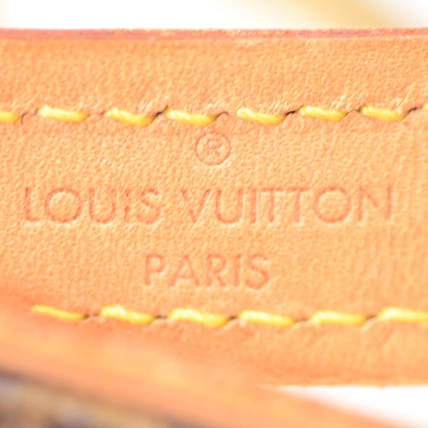 Louis Vuitton Monogram Baxter Dog Leash Lead 4 of 5