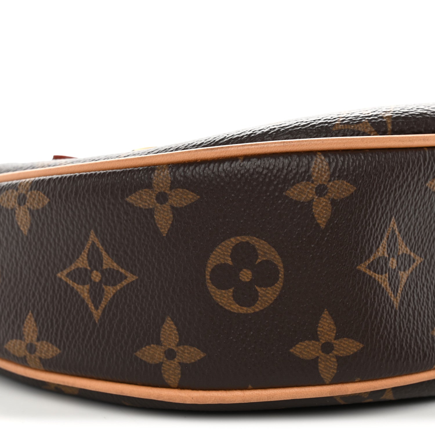 Louis Vuitton Monogram Loop 8 of 9