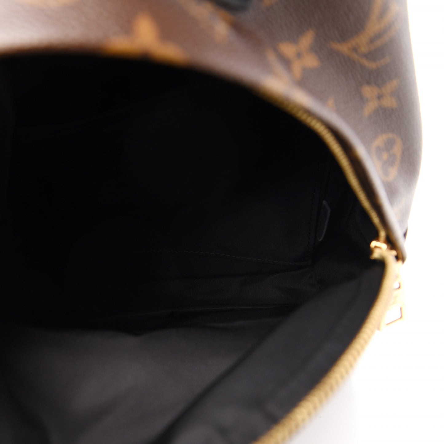 Monogram Palm Springs Backpack PM