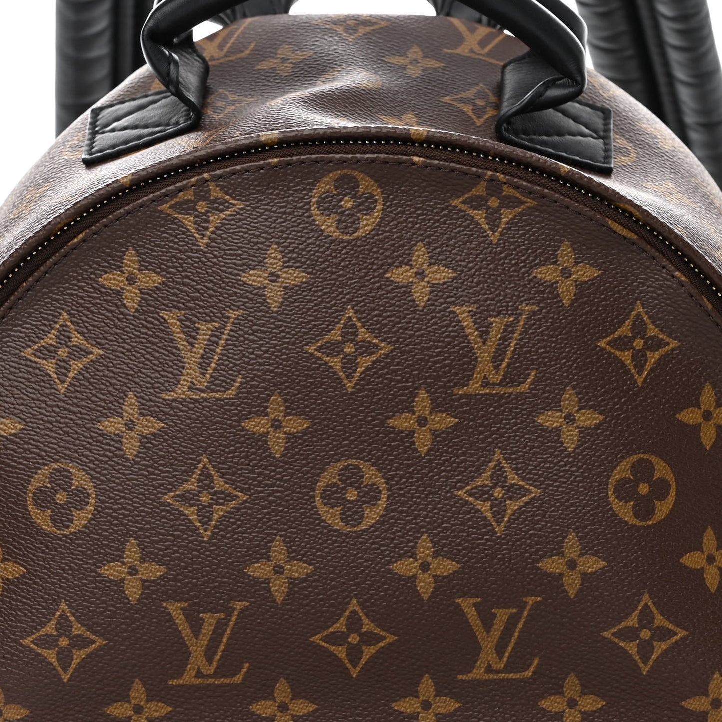 Monogram Palm Springs Backpack MM
