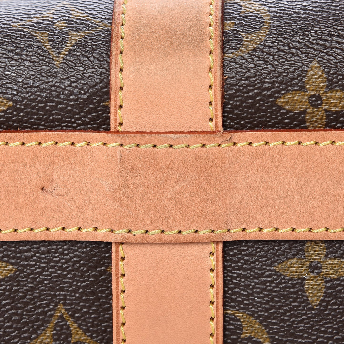 Monogram Sac Chien 50 Pet Carrier