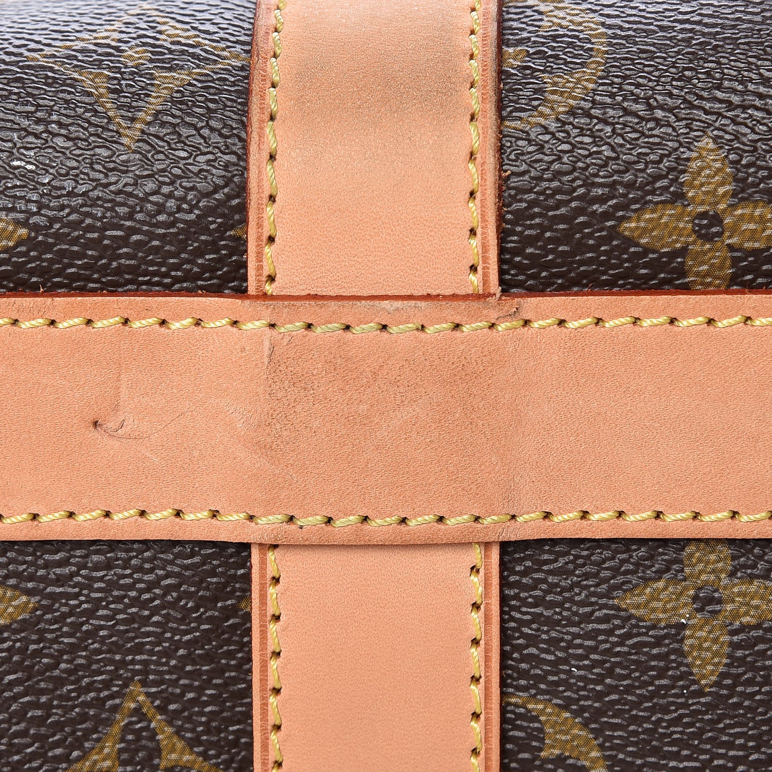 Louis Vuitton Monogram Sac Chien 50 Pet Carrier 12 of 22