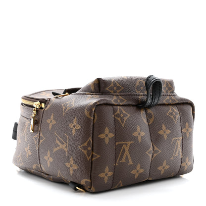 Louis Vuitton Monogram Palm Springs Backpack Mini 4 of 10