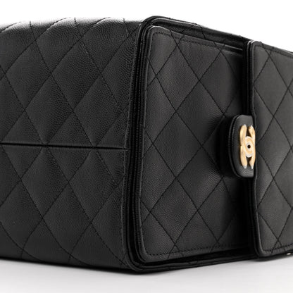 Chanel Caviar Quilted Medium Chanel 25 Handbag Black 12 of 13
